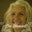 Tamara Starnes's profile image