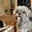 Katie Gonzales's profile image
