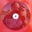 Clinton Pearcy's profile image
