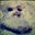 Karmun T.'s profile image