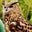 Noreen Sloves's profile image