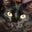 Doreen's profile image