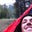 Mark Brunson's profile image