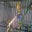 Diann Bassett's profile image