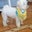 Maribel Rodriguez's profile image
