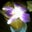 Jacqui W's profile image