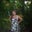 Lisa Veomett's profile image