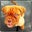 bonnie carberry's profile image