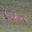 Charyl Melson's profile image