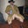 Brent McNamee's profile image
