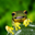 Darren Lewis's profile image