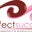 Perfect Success Events's profile image