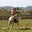 Melinda Cokely's profile image
