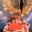 Christine Vecchione's profile image