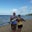 Sarah Ballini Ross's profile image