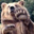 John Fagerholm's profile image