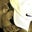 Pierre Du Plessis's profile image