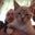 Tony's profile image