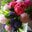 Dilek's profile image