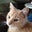 Sara Hayworth's profile image