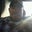 Sam Caton's profile image