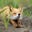 Chela Noldon's profile image