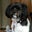 Brenda Christenson's profile image