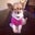 Shaya Clark's profile image