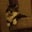 Julie O's profile image