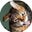 Ryan Podber's profile image