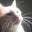 Tracy's profile image