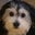 Sam 24112013's profile image