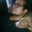 Fernando Orozco's profile image