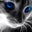 Christine Zeeryp's profile image