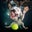 Tim Rastetter's profile image