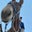 Marc Davis's profile image