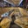 Hessam st's profile image