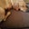 Cindy Blanos's profile image