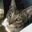 Karen M. Day's profile image