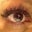 TeresaLynn Thompson's profile image