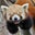 Olivia Harmer's profile image