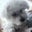 Pat Fabozzi's profile image
