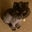 J Ro's profile image