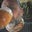 tony baucco's profile image