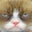 Jessica Orloff's profile image
