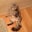 Kim Gurnee's profile image