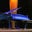 Piano Trends's profile image