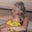 Deborah Maxwell's profile image
