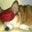 Amy's profile image