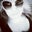 CJ Burque's profile image
